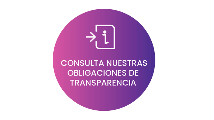 CONSULTA DE OBLIGACIONES DE TRANSPARENCIA